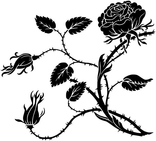 Thorny Rose - Wektor, obraz
