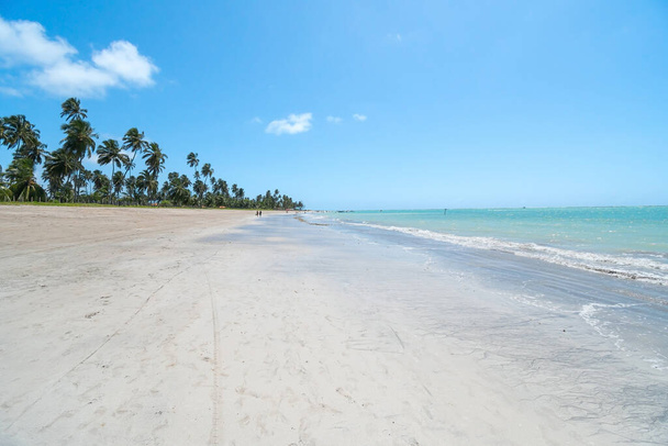 Szeroki widok na Barra Grande plaży Maragogi - AL, Brazylia. Piasek pas i błękitne morze na pięknym błękitnym niebie dniu na turystycznym Alagoas stanie, brazylijskie wybrzeże. - Zdjęcie, obraz
