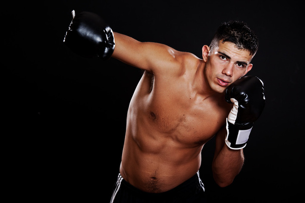 Hispanic boxer - 写真・画像