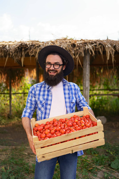 Farmer portrait with fresh gathered tomatoes - Photo, Image