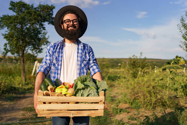 Le fermier tient une boîte de légumes. Récolte d'automne. - Photo, image