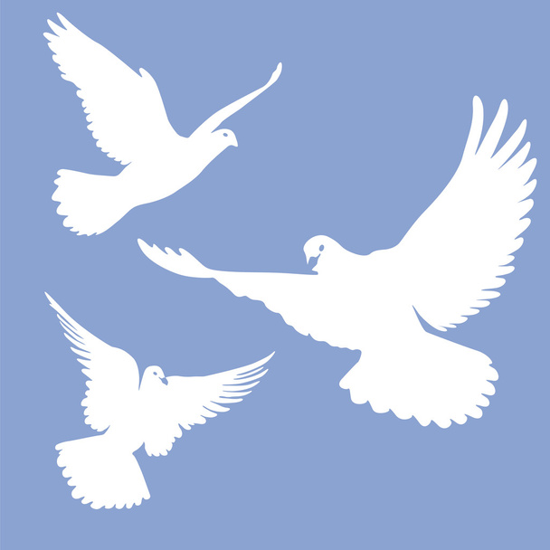 Palomas blancas voladoras
 - Vector, imagen