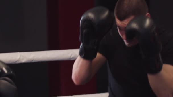 Joven hombre y mujer entrenando boxeo esquivando en el ring - Metraje, vídeo