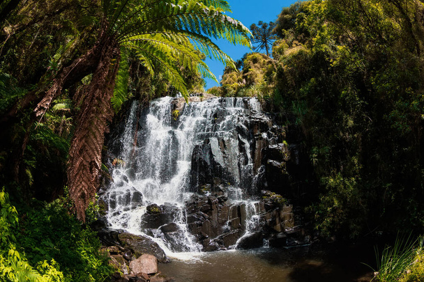 Популярний туристичний водоспад з тропічними рослинами в Уругваї (Бразилія). - Фото, зображення