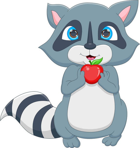 dibujos animados mapache lindo con manzana - Vector, Imagen