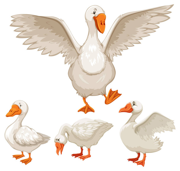 Set of white ducks on white background illustration - Vector, Image