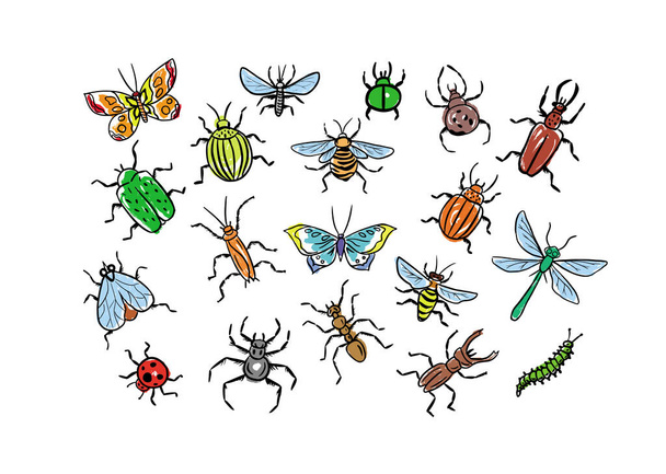Набор насекомых в цвете нарисован в стиле каракулей.. - Вектор,изображение