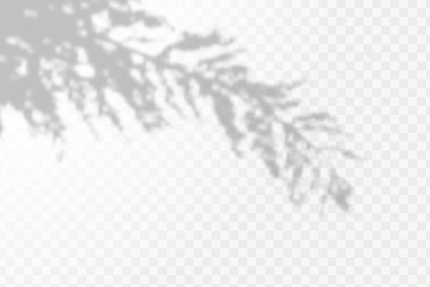 Эффект наложения теней. Реалистичная тень тропических листьев или ветвей на прозрачном клетчатом фоне. - Вектор,изображение