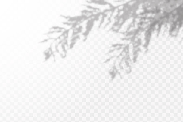 Die Wirkung der Überlagerung von Schatten. Natürliches Licht Layout.Realistische Schatten tropischer Blätter oder Zweige auf transparent kariertem Hintergrund. - Vektor, Bild