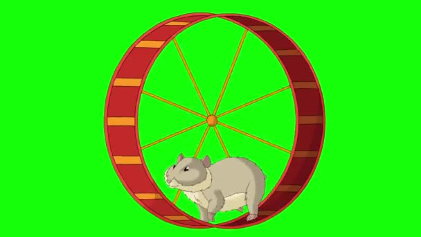 O hamster cinzento corre numa roda. Imagens HD animadas feitas à mão isoladas na tela verde - Filmagem, Vídeo