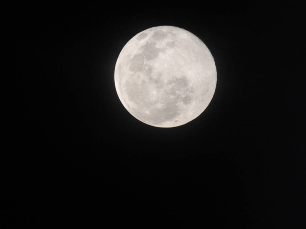 Closeup of Real and Natural Full Moon in the Sky at night at Bangalore, Karnataka, India in a black background - Photo, Image