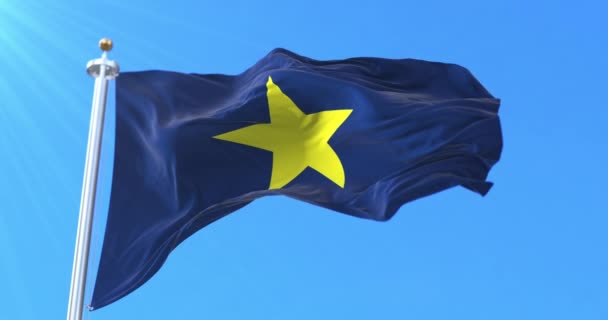Flaga Burneta, flaga narodowa Republiki Teksasu, Stany Zjednoczone. Pętla - Materiał filmowy, wideo