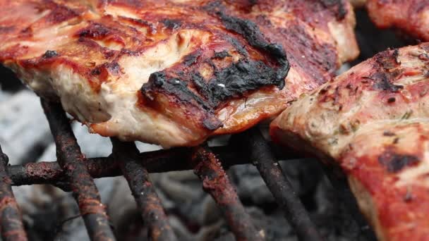 Asar carne jugosa filete con especias y hierbas en la quema de carbones fuego en la parrilla de barbacoa, llamas y humo - Metraje, vídeo