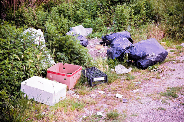 Bezprawny dumping z butelki, pudełka i torby plastikowe, porzucony w przyrodzie. - Zdjęcie, obraz
