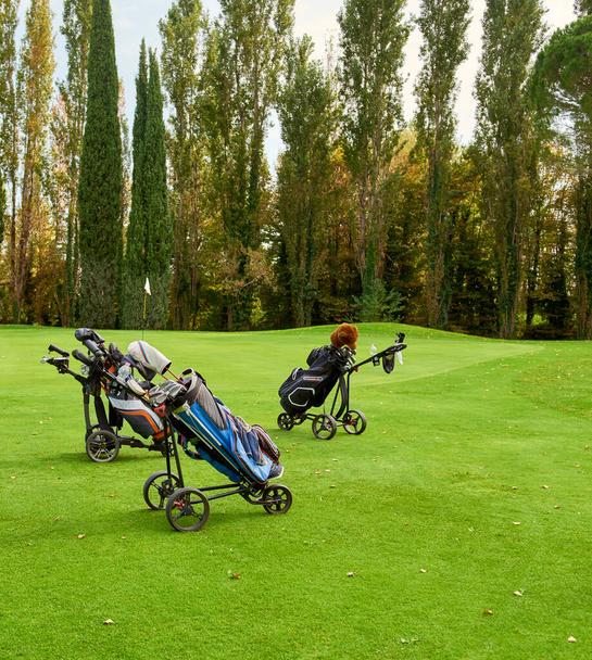 Carro de golf con bolsa y palos de golf en el fairway de un campo de golf, aparcado en el borde del green. En el fondo el verde con la bandera. - Foto, Imagen