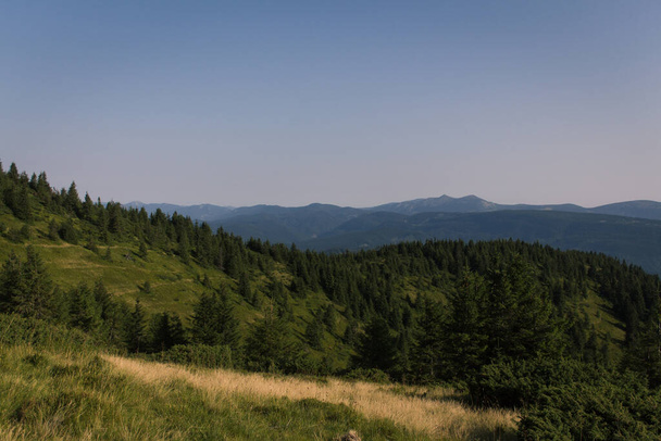 beautiful carpathian mountains, road, hills, forest, ukrainene - Фото, зображення