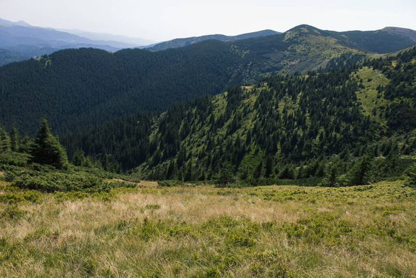 beautiful carpathian mountains, road, hills, forest, ukrainene - Fotó, kép