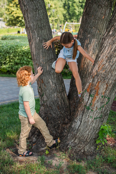 девушка залезает на дерево рядом с братом в парке - Фото, изображение