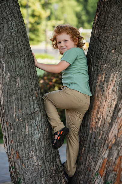 smiling redhead boy looking at camera while climbing on tree in park - Photo, Image