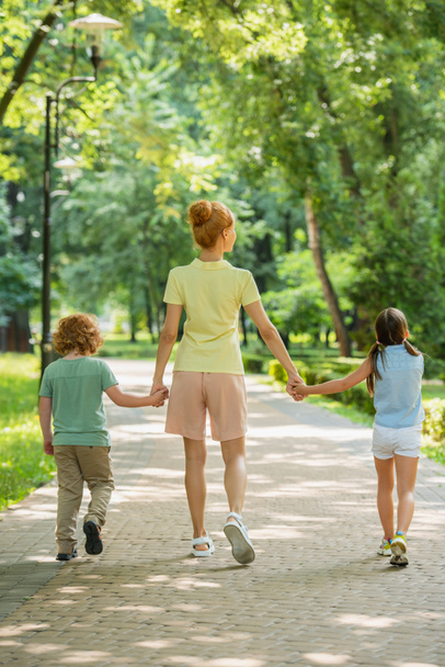 back view of woman with kids holding hands while walking in park - Foto, immagini