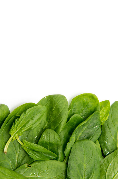 Spinach on a white background - Photo, image