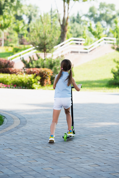 back view of girl in shorts riding kick scooter in summer park - Photo, Image