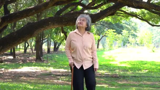 Mujer anciana que usa un bastón para ayudarla a equilibrarse y caminar en Park, Osteoartritis y osteoporosis debido a la falta de calcio. Concepto seguro de salud para la familia. - Imágenes, Vídeo