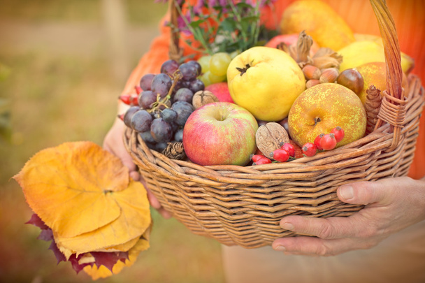 Fruits d'automne entre les mains de la femme
 - Photo, image