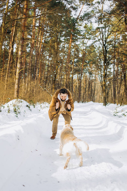 Addestramento uomo sedersi cane golden retriever in inverno. Giorno di nevicata - Foto, immagini