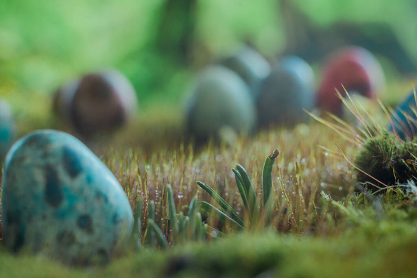 Easter colored eggs on green grass with blurred background. - Foto, afbeelding