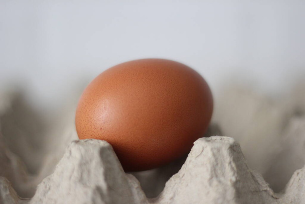 коричневое яйцо на коробке - Фото, изображение