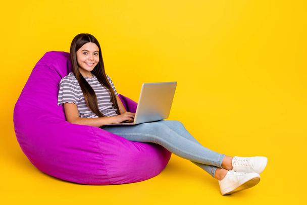 Full body profile side photo of young lady sitting purple beanbag relax use laptop isolated over yellow color background - Foto, Imagem