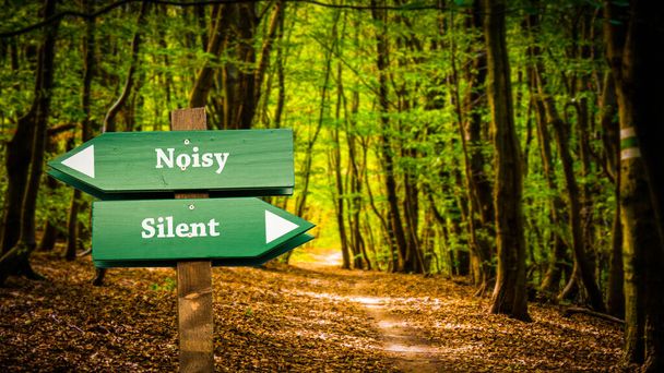 Street Sign the Direction Way to Silent versus Noisy - Photo, Image