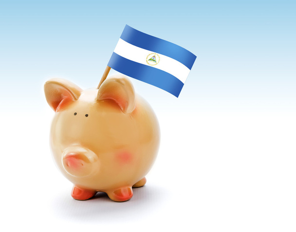 Banco porquinho com bandeira nacional da Nicarágua
 - Foto, Imagem