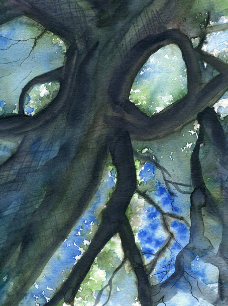 Дерево корона блакитне небо
 - Фото, зображення