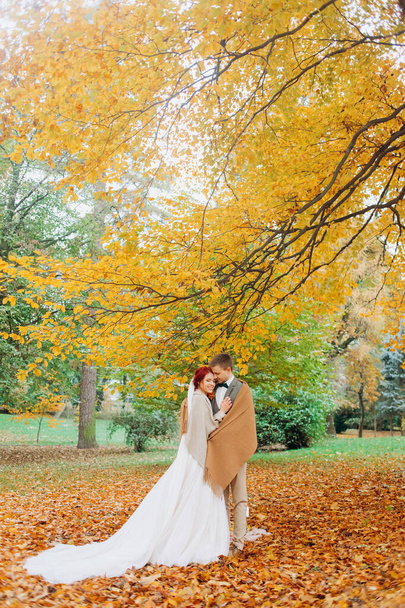 Glückliches junges Paar umarmt einander stehend unter einem hohen gelben Herbstbaum. - Foto, Bild