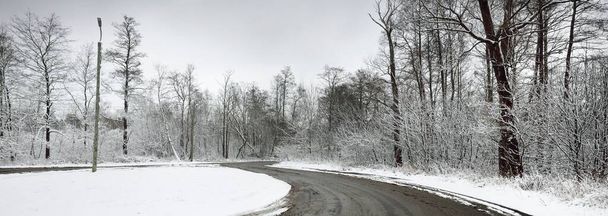 Landstraße mit Kreuzung, Autospuren im Schnee in Großaufnahme. Waldstraße an einem bewölkten Wintertag. Ein Blick von einer Bushaltestelle. Transport, gefährliches Fahren, Winterreifen, abgelegene Orte - Foto, Bild