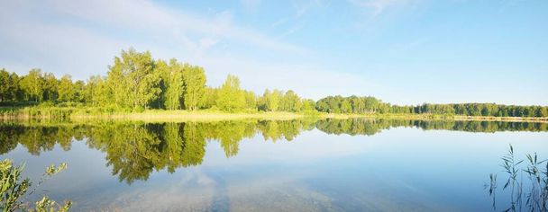 Panoramic view of the lake in a green birch tree forest. Sandy beach. Sunny summer day. Clear blue sky, symmetry reflections on water. Rural scene. Latvia, Europe. Nature, ecology, ecotourism - Foto, Bild