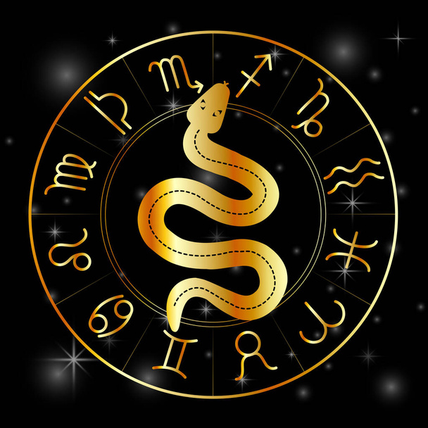 Dierenriem symbolen astrologie tekens met mystieke serpentijn in goud - Vector, afbeelding