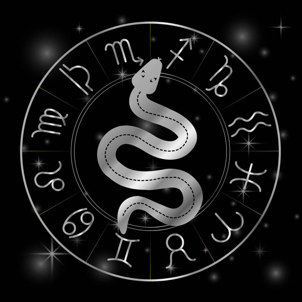Zodiac sembolleri astroloji işaretleri ile gümüş içinde mistik yılan işareti - Vektör, Görsel