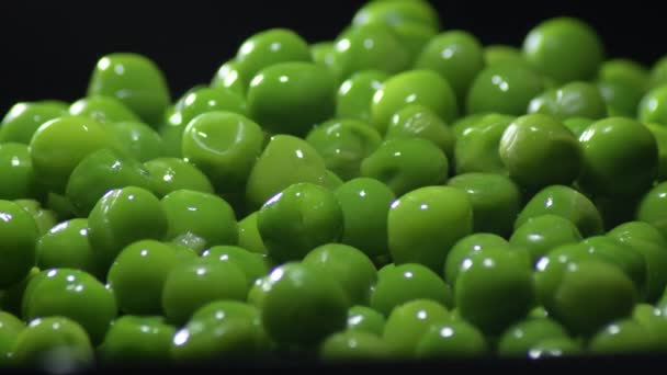 Fresh green peas gyrating on black background - Footage, Video