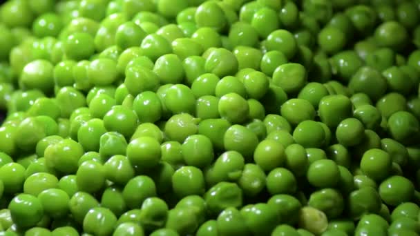 Fresh green peas with intimate light gyrating - Footage, Video