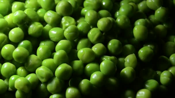新鮮な緑のエンドウ豆のジャイティング - 映像、動画