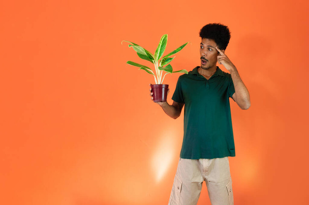 Przystojny czarny człowiek z zieloną koszulą gospodarstwa roślin izolowanych na pomarańczowym tle. - Zdjęcie, obraz