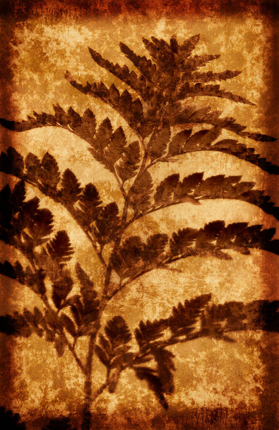 Vintage Grunge stylu tle z roślin - Zdjęcie, obraz