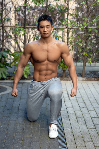 胸と腕が定義された筋肉質の胴を披露若い日本人男性アジアのボディビルダー - 写真・画像