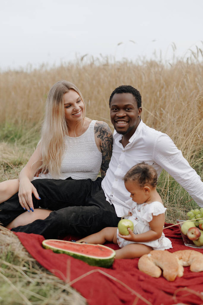 Bezstarostné a radostné smíšené rasy rodiny v pšeničných polích - Fotografie, Obrázek