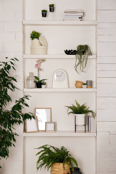 Wall shelves with beautiful decor elements and houseplants indoors. Interior design - Foto, Imagen