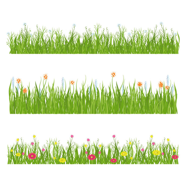 Flowers and grass. Blooming field, meadow. - Vector, Image