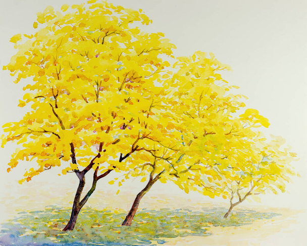 白の背景に春のロマンチックな感情に黄金の木の花の水彩画黄色の色。原画図. - 写真・画像